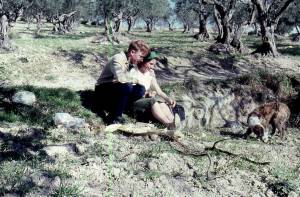 12/1961 Sicile